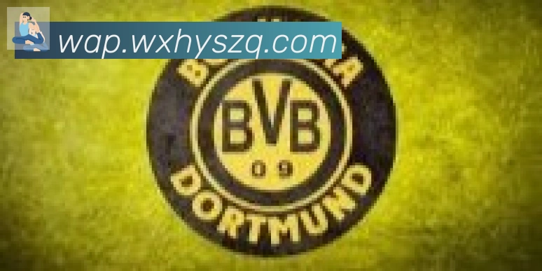 开云kaiyun网页版合作伙伴