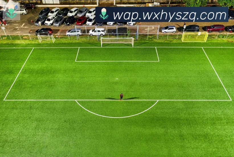 数据防护可视化